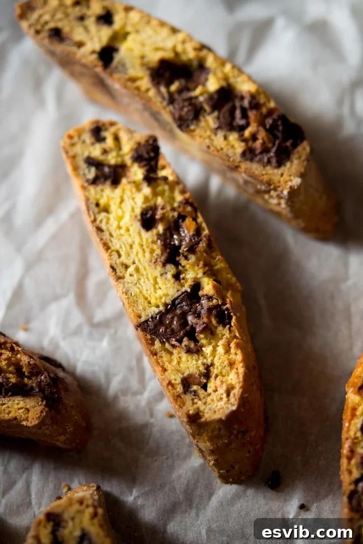 Close-up of golden brown orange chocolate cantucci biscuits on a wire rack, highlighting their crunchy texture and melted chocolate chips. Perfect for homemade Italian dessert enthusiasts.