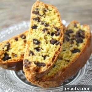Orange Chocolate Cantucci