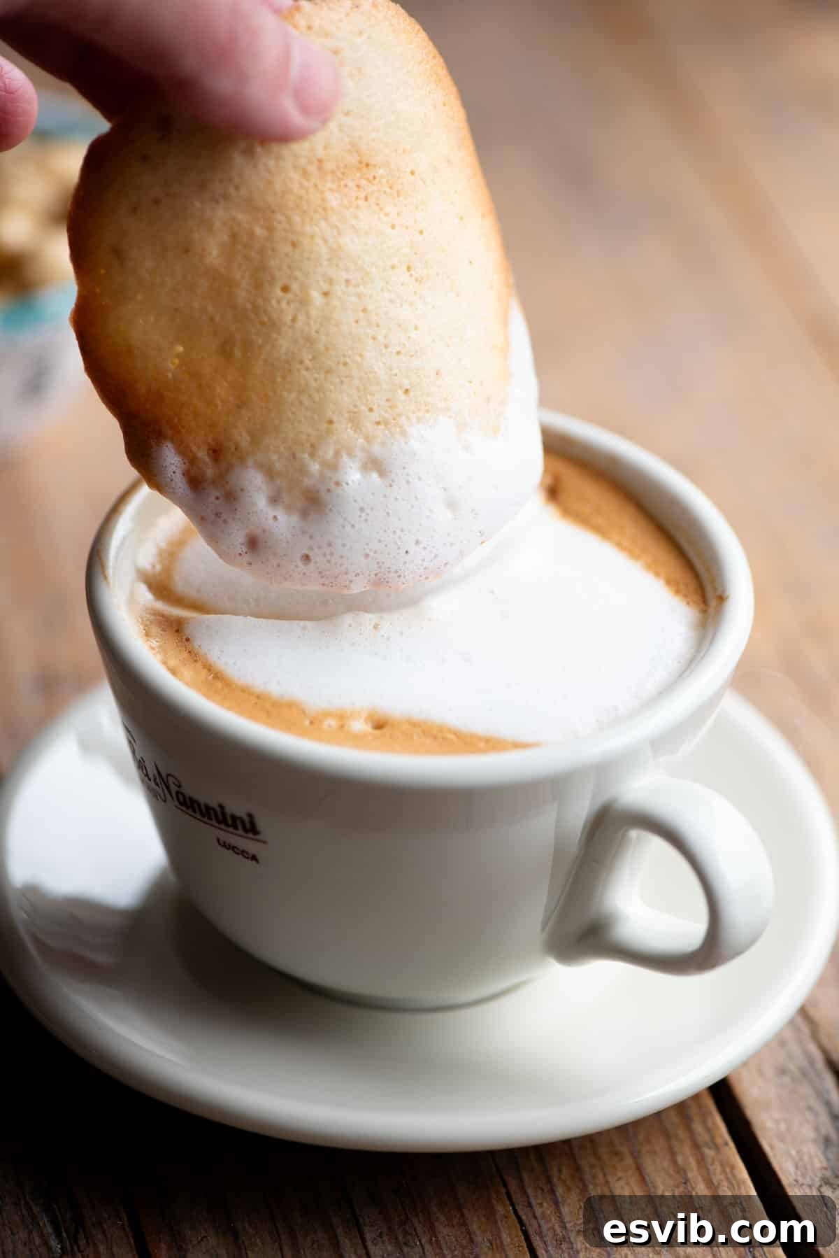 Valdostan Hazelnut Almond Crisps 6 A close-up shot of an Italian Tegola Valdostana cookie being dipped into a frothy cappuccino.