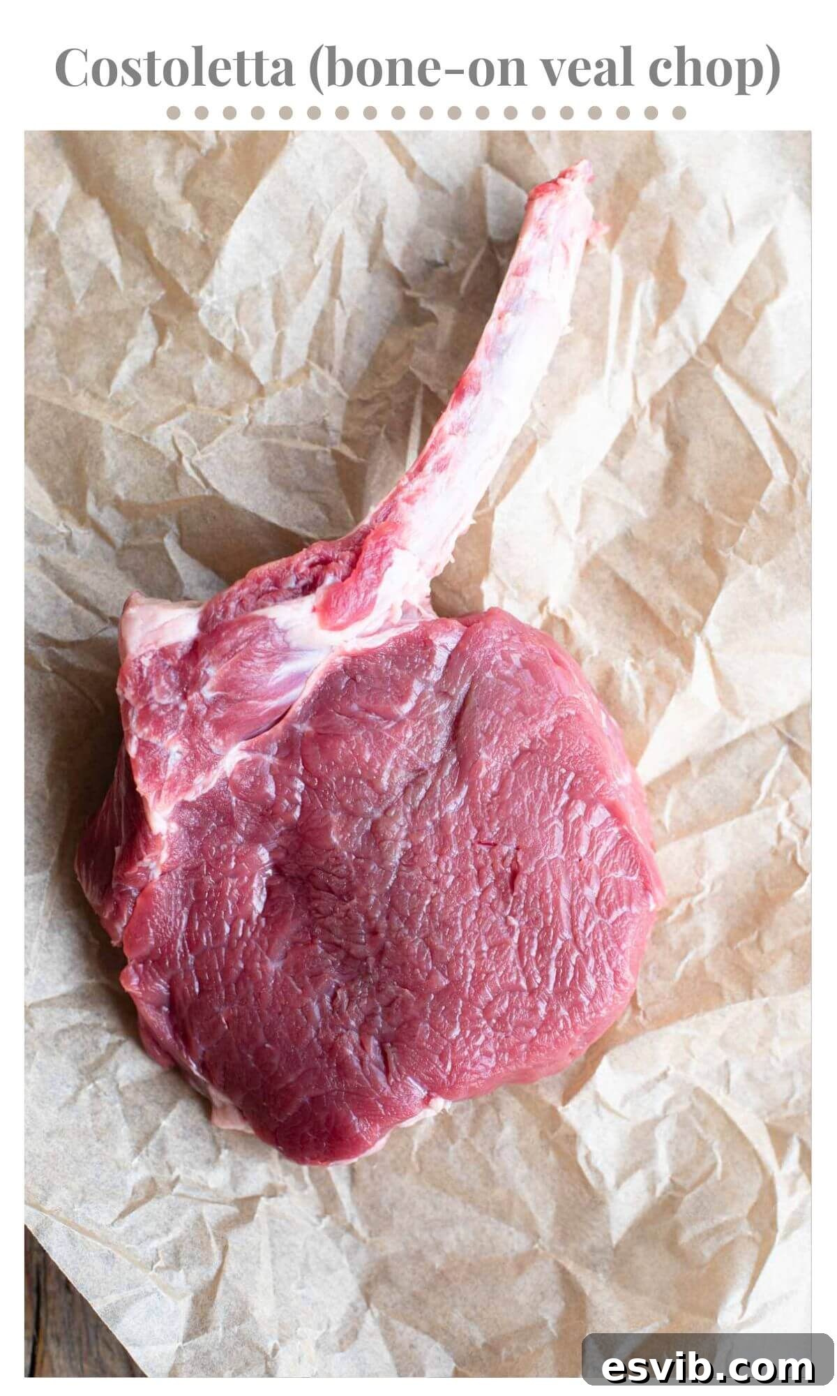 A detailed close-up of a raw veal chop, featuring the bone still attached, highlighting the quality of the meat before preparation.