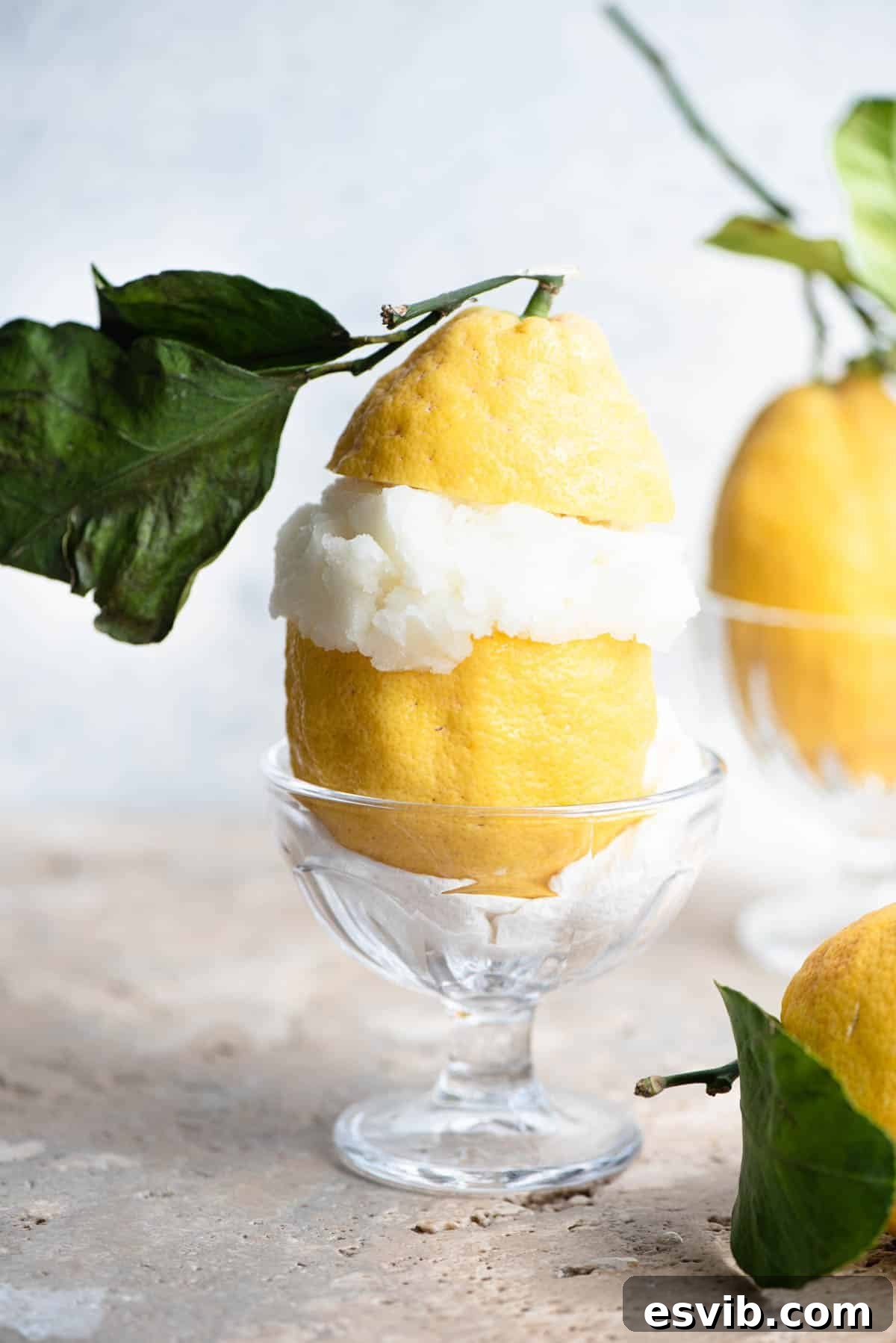 Sun-Kissed Amalfi Lemon Sorbet 2 A vibrant Italian lemon sorbet, beautifully served within a large, hollowed Amalfi lemon, adorned with fresh green leaves.