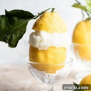 A cropped close-up of a vibrant Amalfi lemon, expertly cut in half and generously filled with smooth, refreshing lemon sorbet.