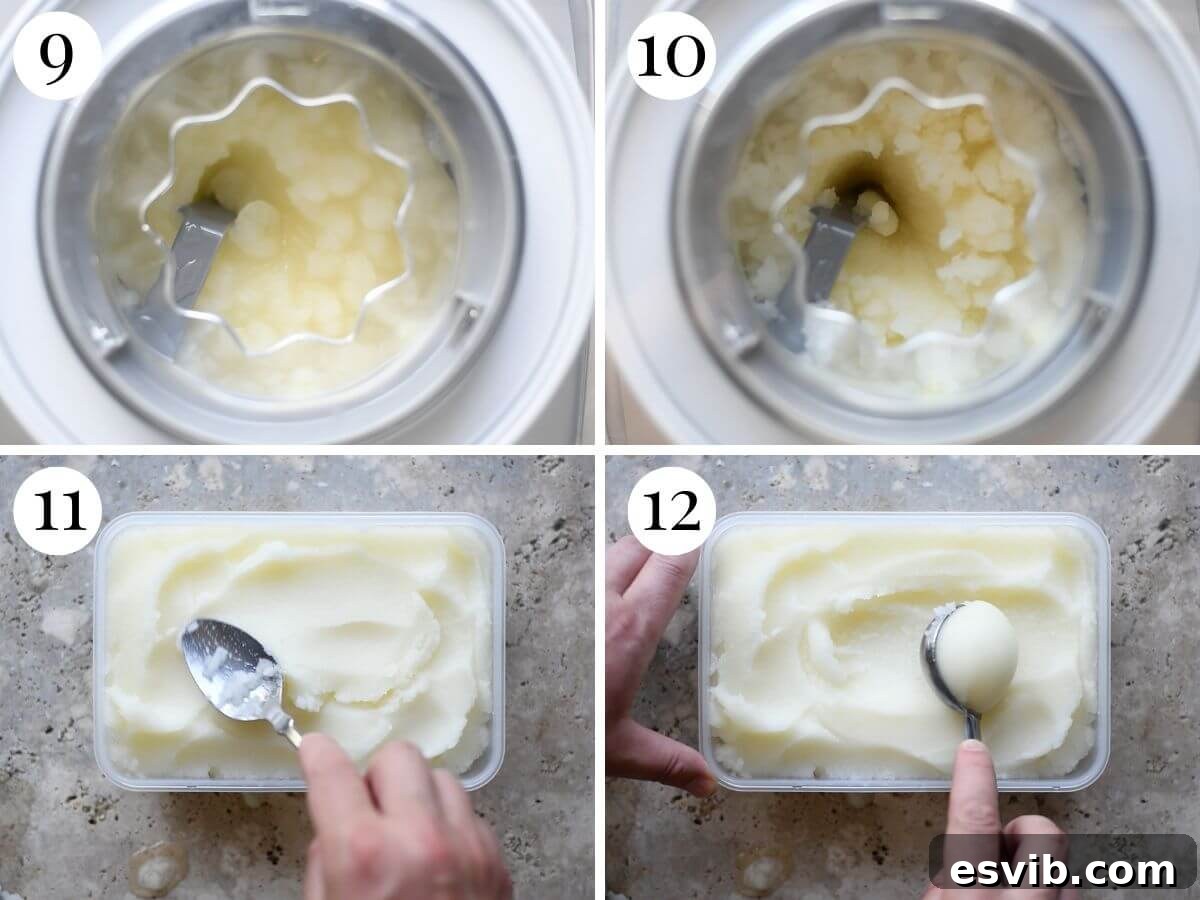 Sun-Kissed Amalfi Lemon Sorbet 6 A four-photo collage showcasing the final stages of homemade lemon sorbet: scooping the perfectly churned sorbet into a container and its beautiful, frosty, ready-to-serve texture.