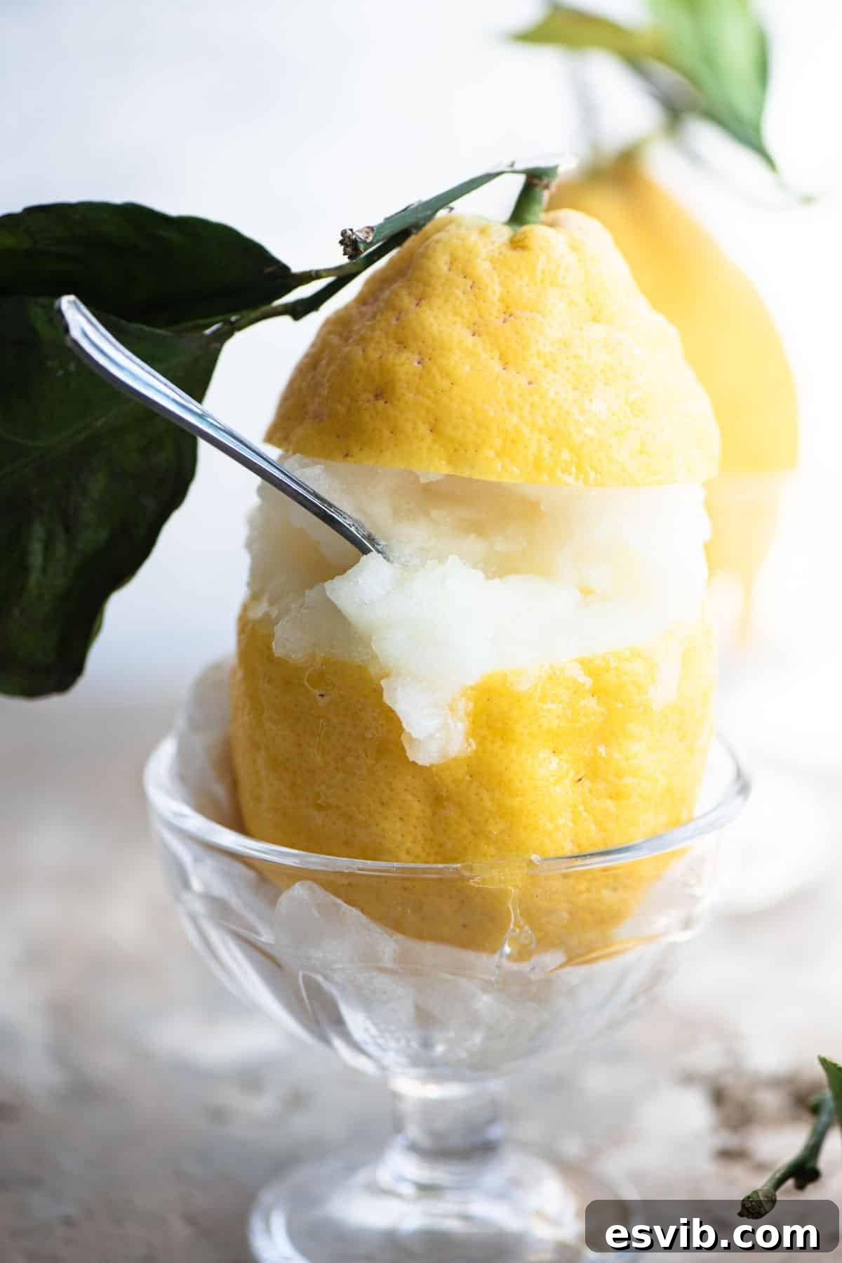 Sun-Kissed Amalfi Lemon Sorbet 7 A close-up shot of a magnificent Amalfi lemon, expertly hollowed out and filled with luscious, homemade lemon sorbet, with a spoon nestled invitingly inside.