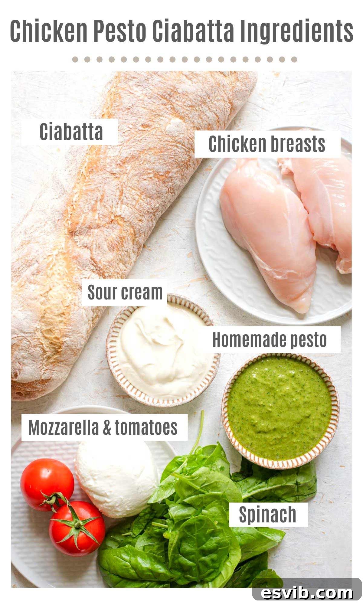An overhead shot of all the ingredients you need to make a chicken ciabatta sandwich with pesto