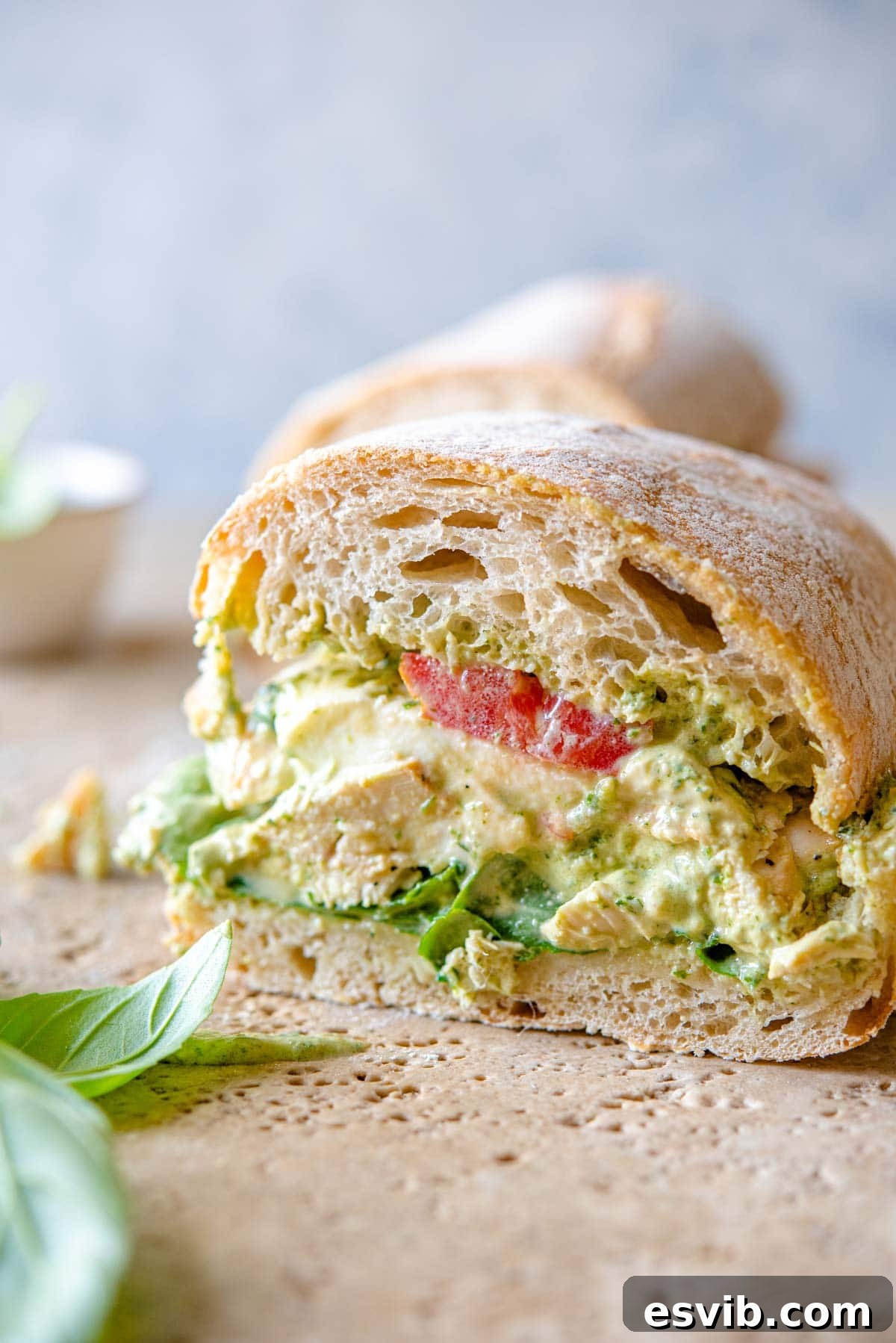 A close up of a chicken pesto ciabatta cut in half