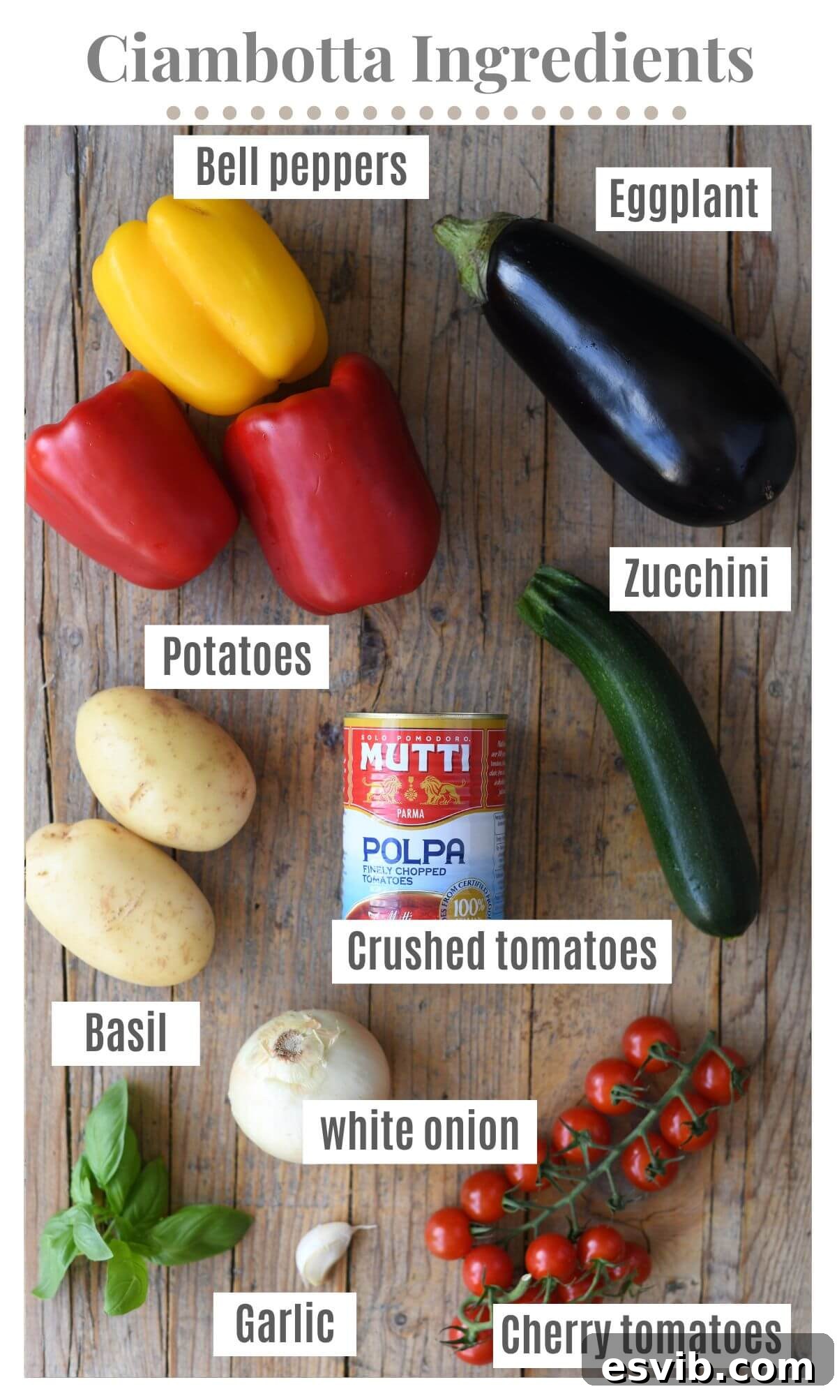 Ciambotta Vibrant Summer Vegetable Medley 3 An overhead shot of all the ingredients needed to make Ciambotta.