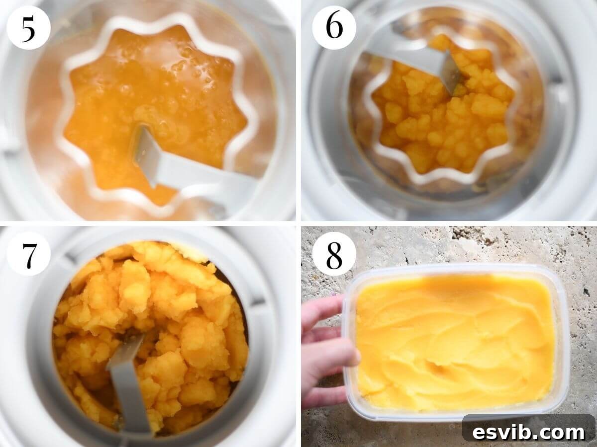 A four-panel collage showing the process of making orange sorbet with an ice cream machine: pouring chilled mixture into the machine, churning, the resulting soft sorbet, and transferring it to a freezer-safe container.