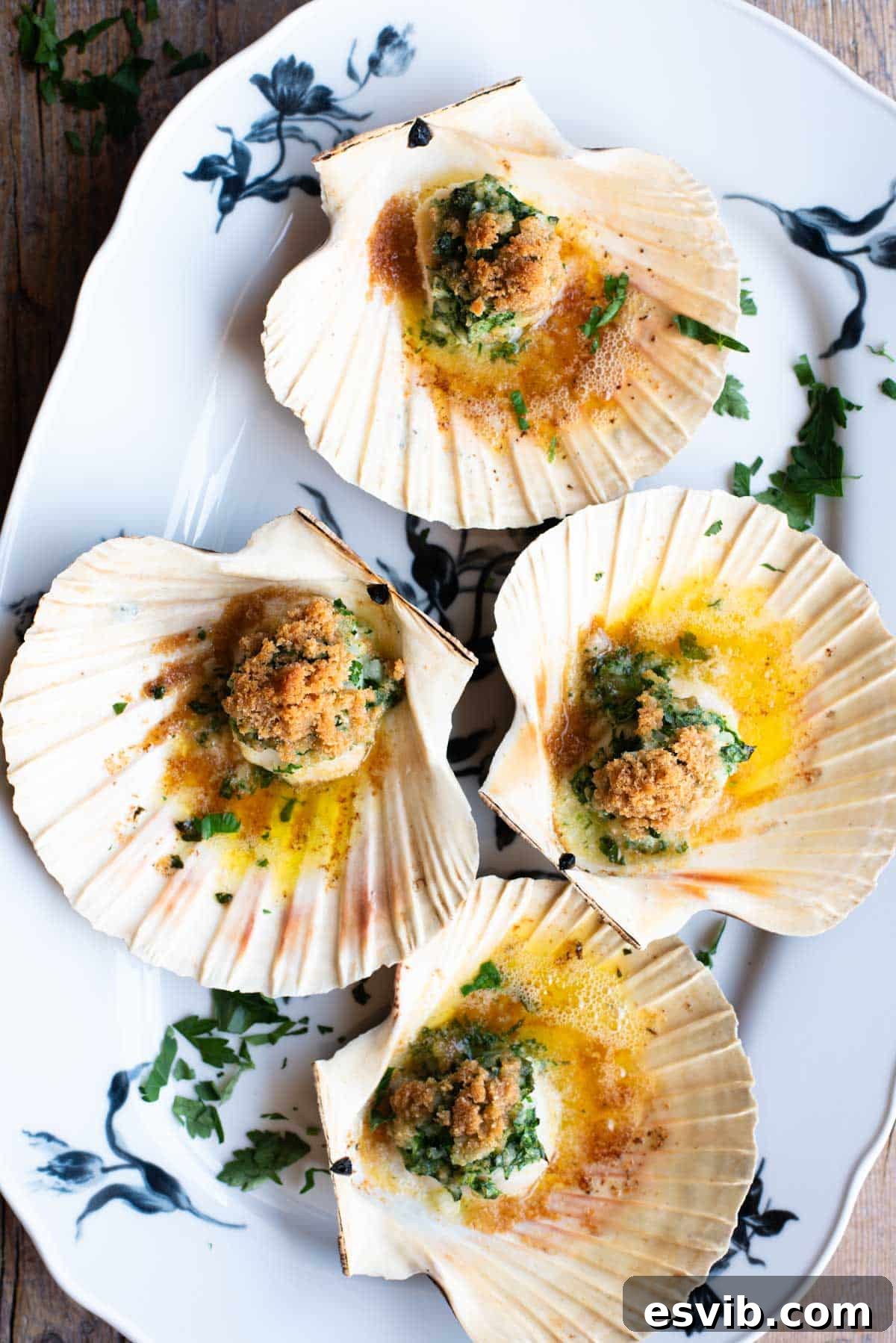 An overhead shot of four scallops in their shells sitting on a white serving platter.