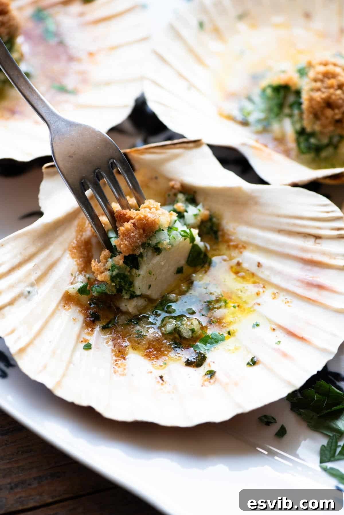 A close up of one scallop in a shell with parsley butter and a fork inserted into it.