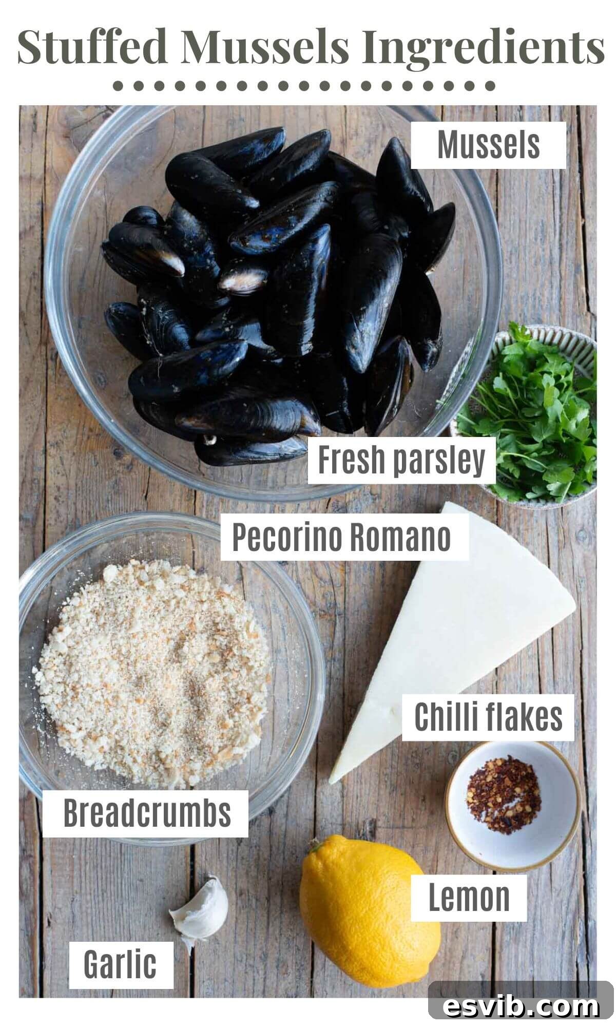 An overhead shot showcasing all the fresh and dry ingredients meticulously laid out, ready to be combined for making authentic Italian stuffed mussels.