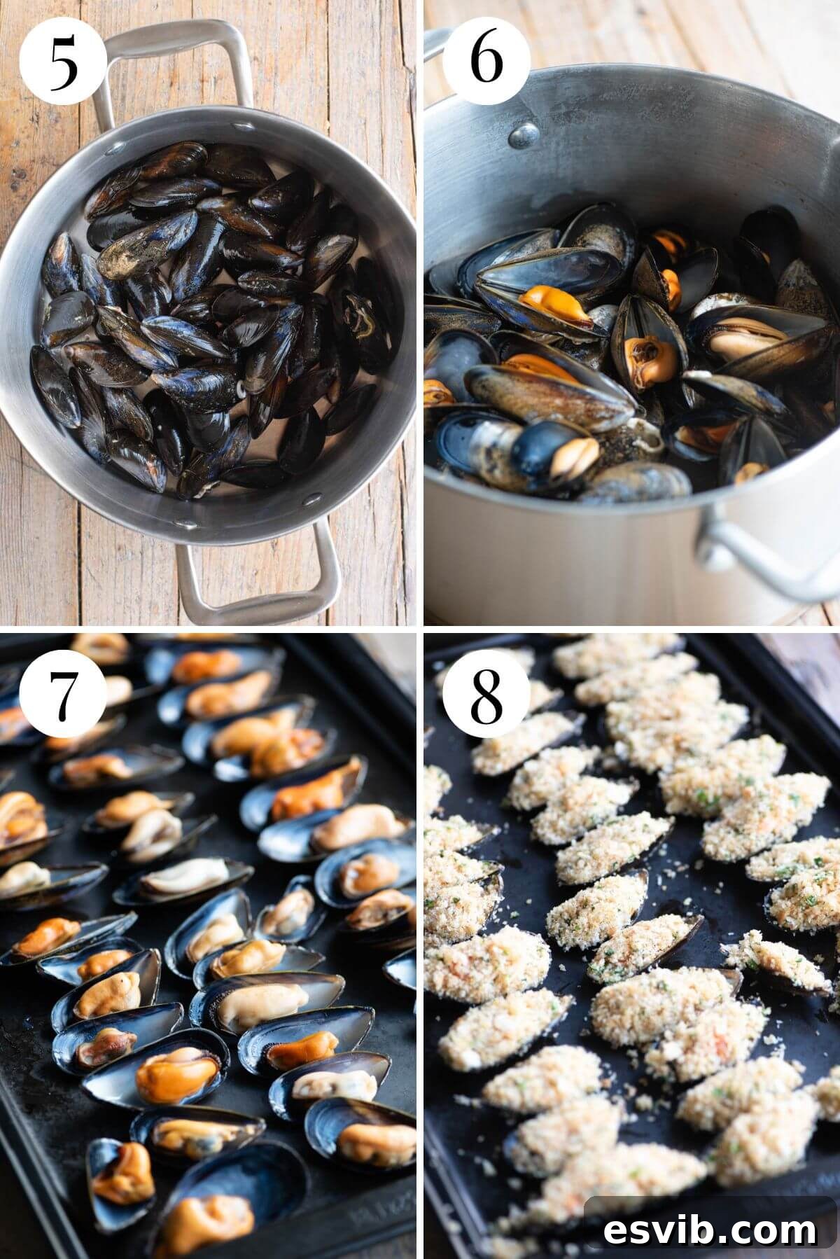 A four-photo collage demonstrating the precise steps involved in stuffing mussels with the prepared breadcrumb mixture, illustrating the delicate process.