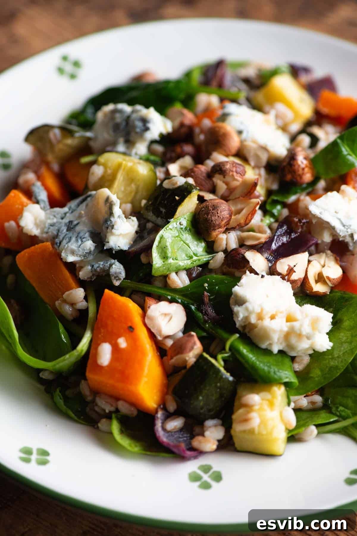 Cozy Butternut Farro with Gorgonzola 6 A close up of a farro salad on a plate with butternut squash, spinach and gorgonzoal, highlighting the textures and ingredients.
