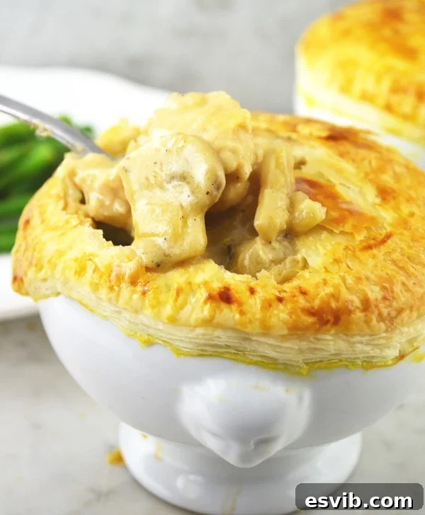 Try this recipe for Chicken and Mushroom Pies for a deliciously comforting weekday meal this winter. They are so simple and taste incredible . Close-up shot of the creamy chicken and mushroom pie filling, showing rich sauce and tender ingredients