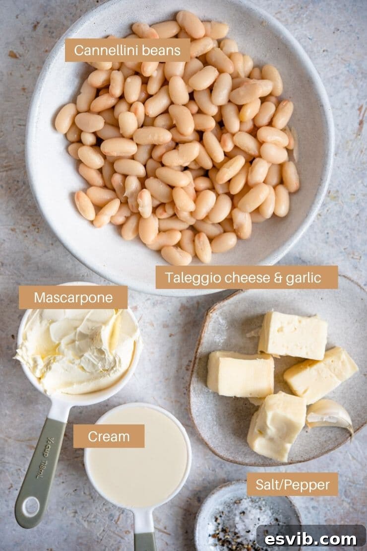 A flat lay photograph showcasing all the fresh ingredients needed for making a homemade creamy white bean dip, including canned cannellini beans, cubed Taleggio cheese, mascarpone, heavy cream, and a garlic clove.