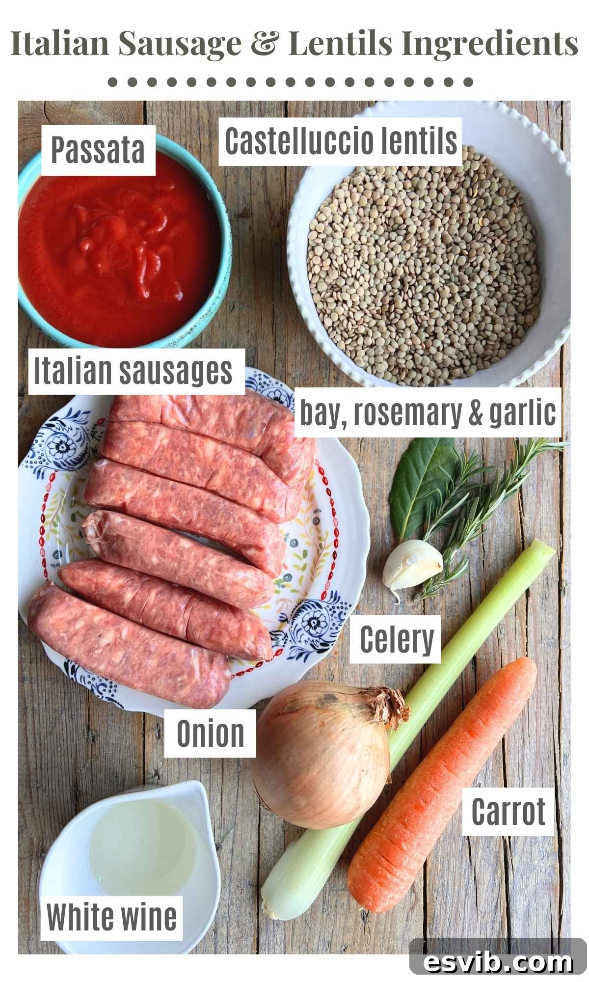 An overhead shot of all the ingredients needed to make Italian sausages and lentils.
