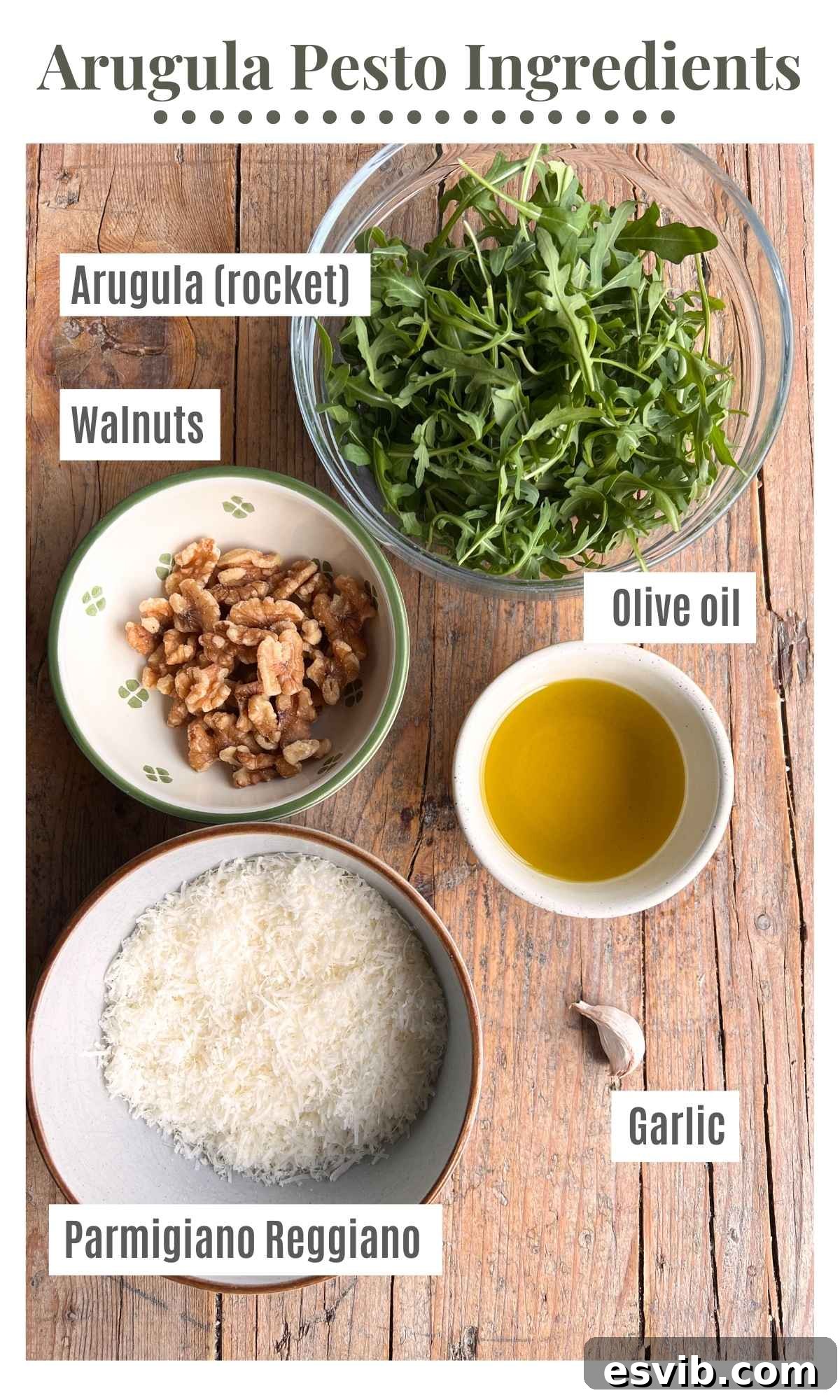 An overhead shot displaying all the fresh and essential ingredients meticulously laid out, waiting to be transformed into delicious arugula pesto.