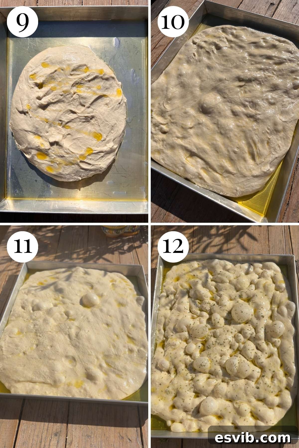 Four photos in a collage showing focaccia dough in a tray before and after proofing.
