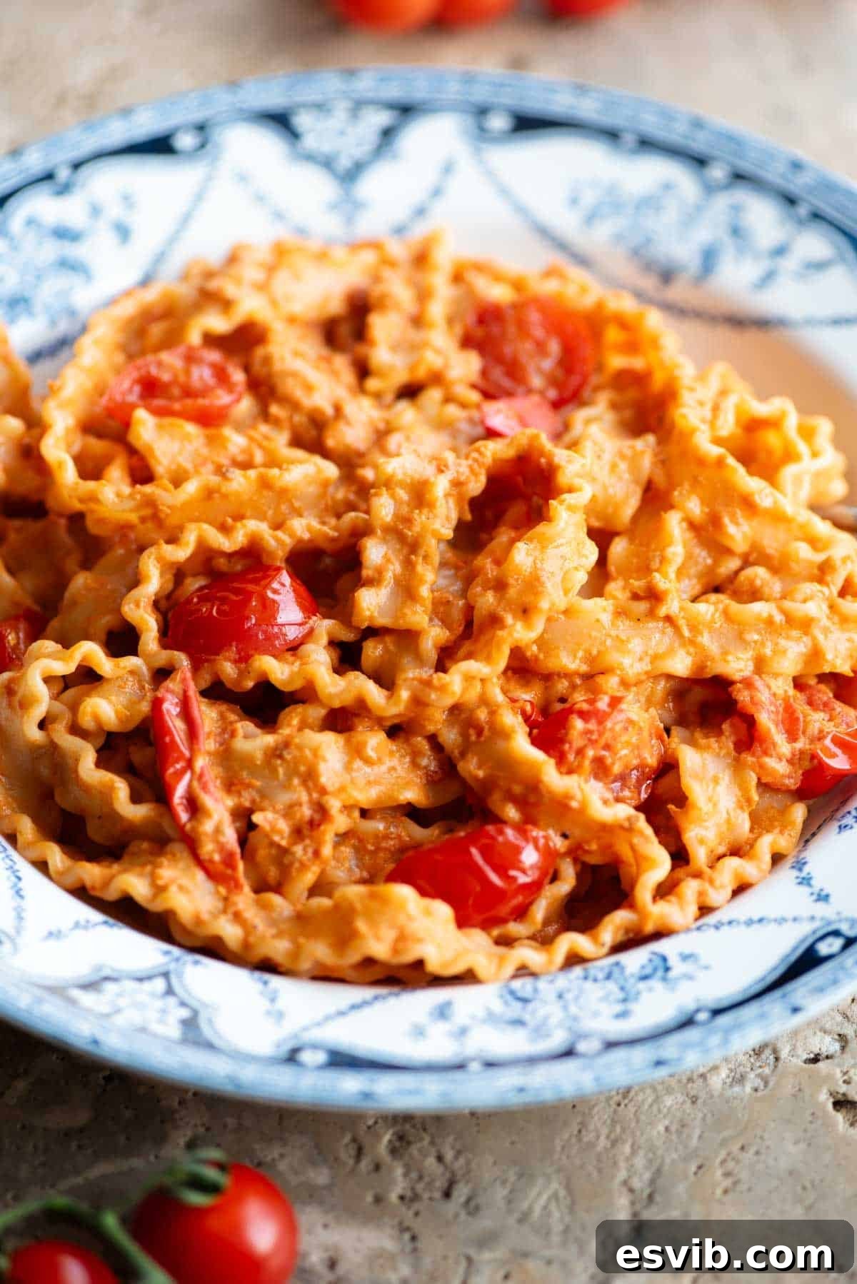 Velvety Stracchino Sun-Kissed Tomato Pasta 5 A close up of pasta ribbons in a tomato and stracchino cheese sauce on a blue and white vintage style bowl.