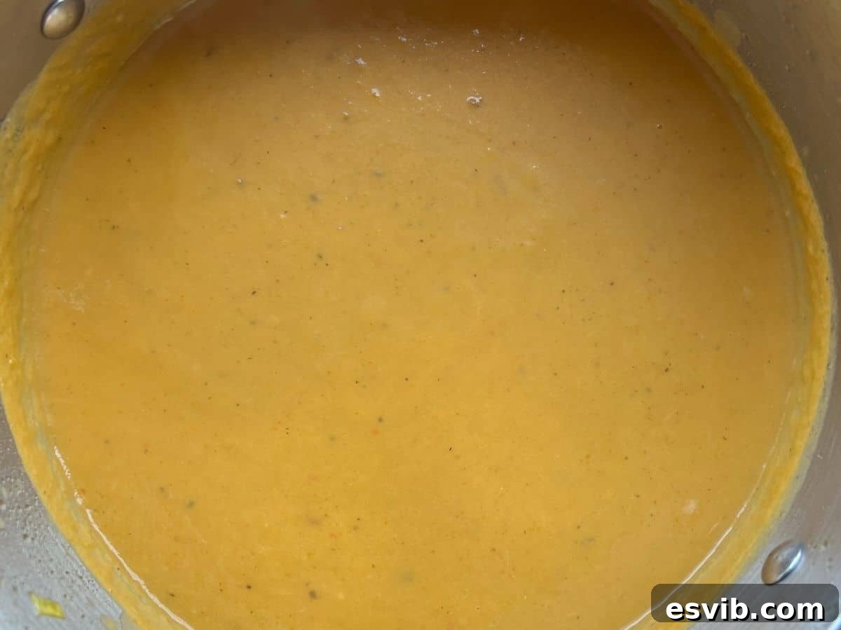 One photo showing a close up of a smooth pureed soup.