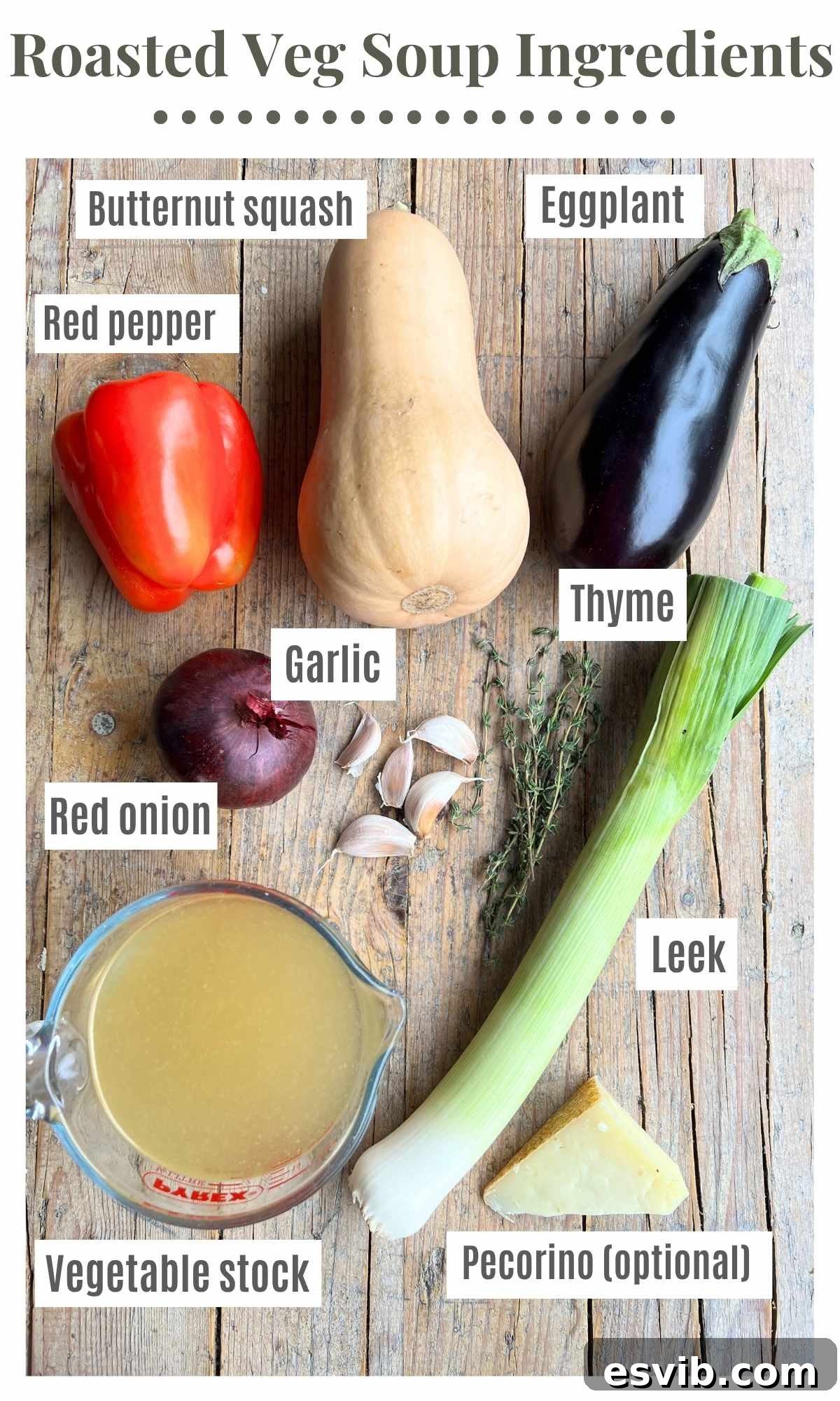 An overhead shot of ingredients needed to make roasted vegetable soup. The text labels read: butternut squash. red pepper, eggplant, garlic, red onion, leek. veg stock. thyme. pecorino (optional).