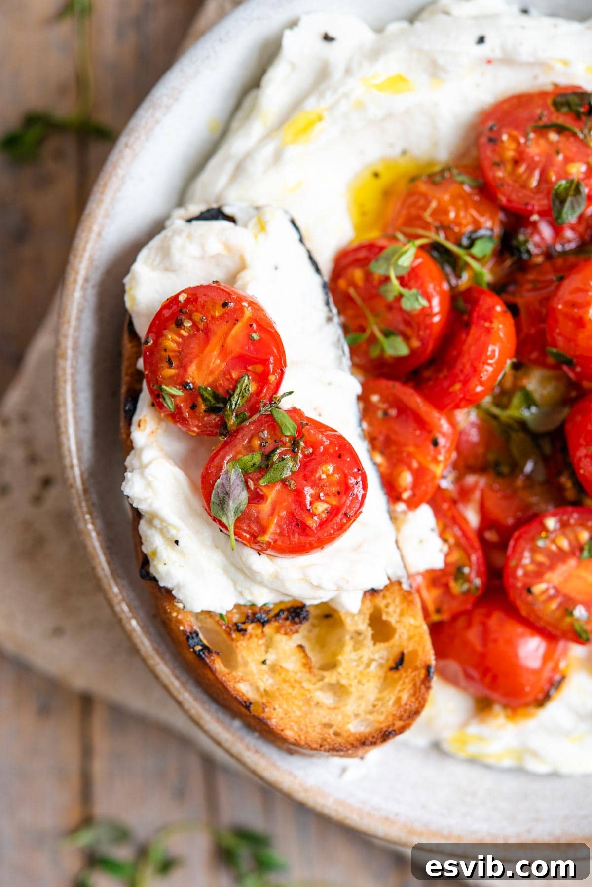 A close-up shot of a perfectly grilled slice of ciabatta bread topped generously with the creamy whipped ricotta and sweet roasted tomatoes.