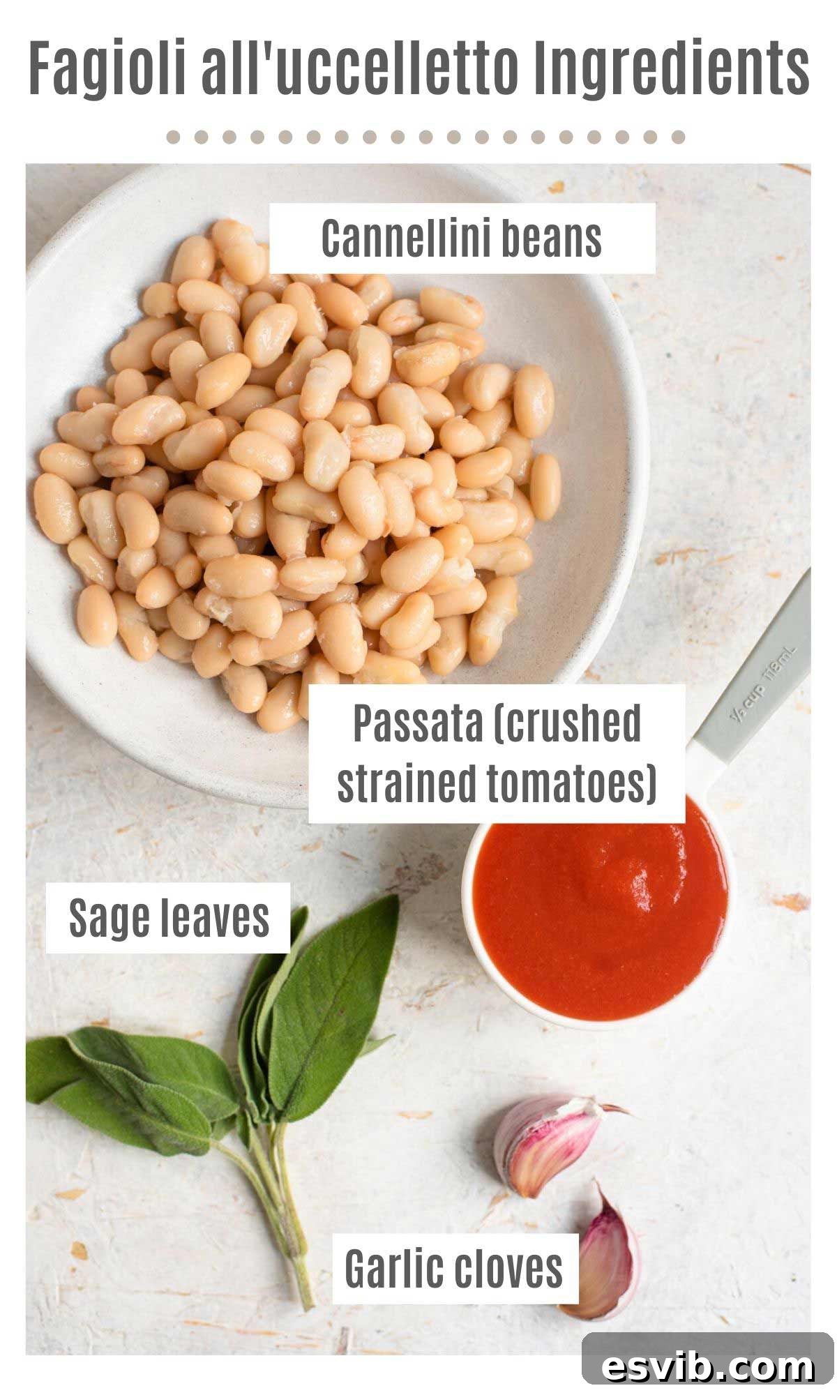An inviting overhead shot showcasing all the fresh and simple ingredients required to prepare a delicious Fagioli all'uccelletto, including cannellini beans, tomatoes, garlic, and sage.