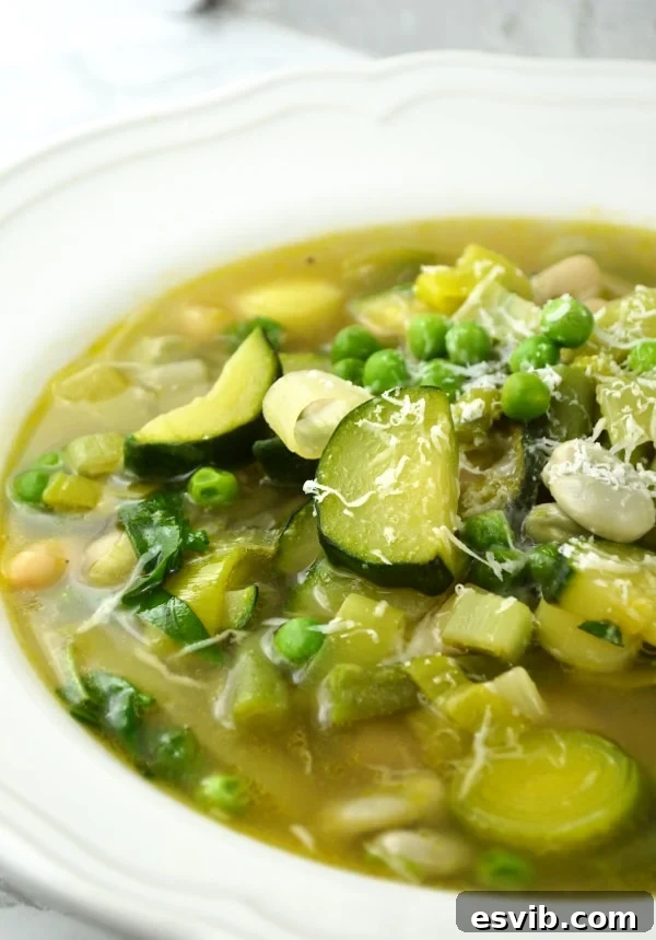Overhead view of a prepared bowl of Minestrone Primavera, garnished with fresh basil and grated Pecorino cheese.
