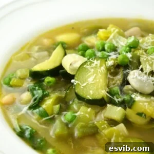 Minestrone Primavera recipe image