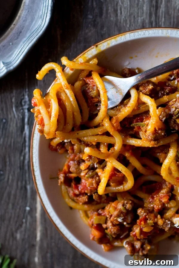 Pici pasta with Tuscan sausage ragu garnished with fresh basil, showcasing the rich texture of the hand-rolled pasta and the savory sauce.