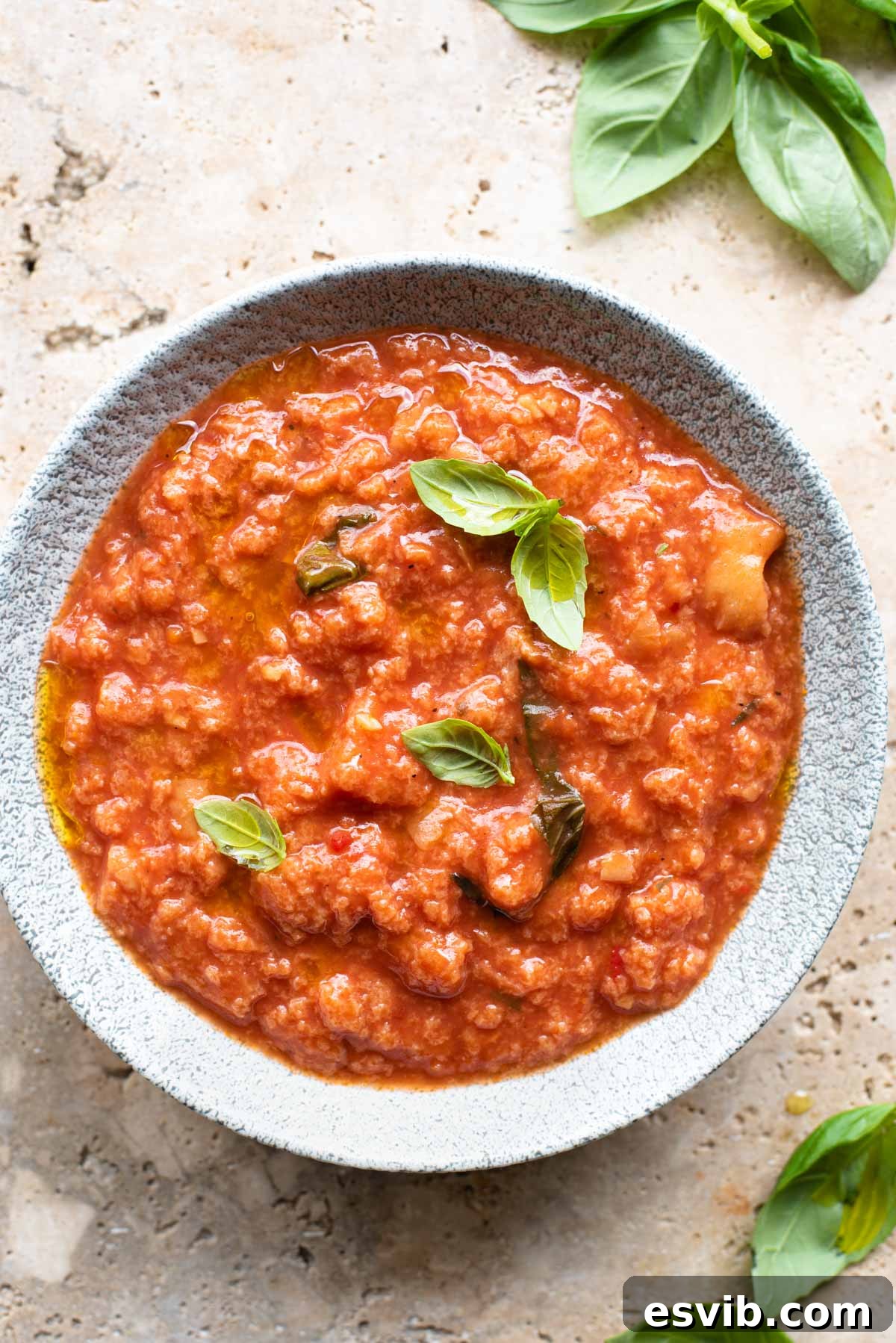 An overhead shot of a bowl of Pappa al Pomodoro Italian bread soup garnished with fresh basil and a drizzle of olive oil, ready to be enjoyed.