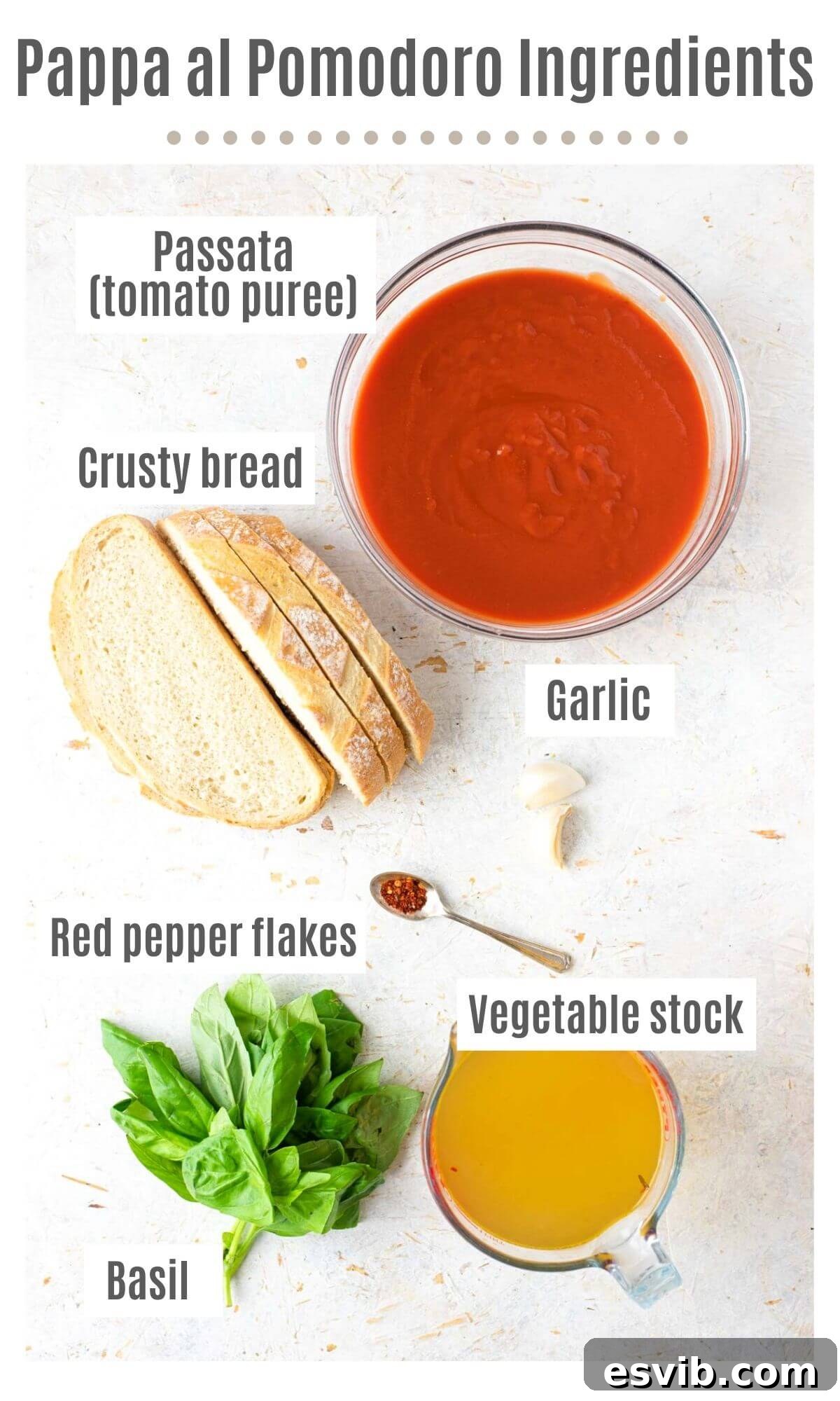 An overhead shot showcasing all the fresh and simple ingredients required to prepare a delicious Pappa al Pomodoro soup.