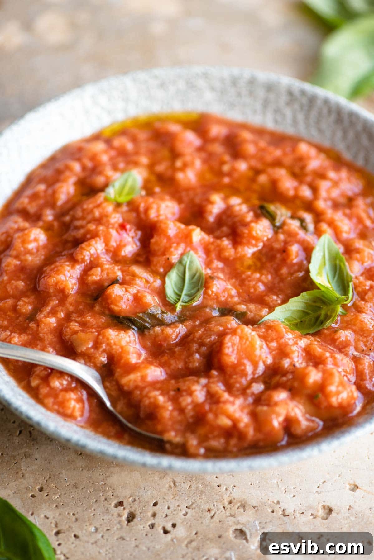 A close-up, appetizing view of a bowl of Pappa al Pomodoro, showing its thick texture and fresh basil garnish.