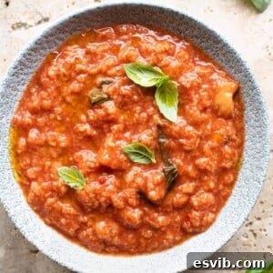 A close up of a bowl of pappa al pomodoro topped with basil and olive oil