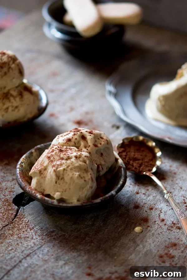 Tiramisu ice cream recipe with all the classic flavours of tiramisu this ice cream is silky smooth and delicious. Authentic Italian gelato, Authentic Italian recipes, Traditional Italian recipes and Italian Desserts at Inside the rustic kitchen Two scoops of creamy homemade Tiramisu ice cream in a small rustic bowl, garnished with a sprinkle of cocoa powder.