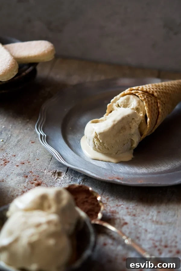Tiramisu ice cream recipe with all the classic flavours of tiramisu this ice cream is silky smooth and delicious. Authentic Italian gelato, Authentic Italian recipes, Traditional Italian recipes and Italian Desserts at Inside the rustic kitchen A melting scoop of Tiramisu ice cream on an ice cream cone, sitting on a plate on a warm day, showcasing its creamy texture.