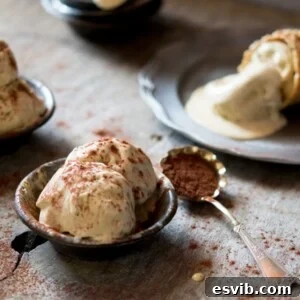 Decadent Tiramisu Ripple Ice Cream 2 Tiramisu ice cream recipe with all the classic flavours of tiramisu this ice cream is silky smooth and delicious. Authentic Italian gelato, Authentic Italian recipes, Traditional Italian recipes and Italian Desserts at Inside the rustic kitchen