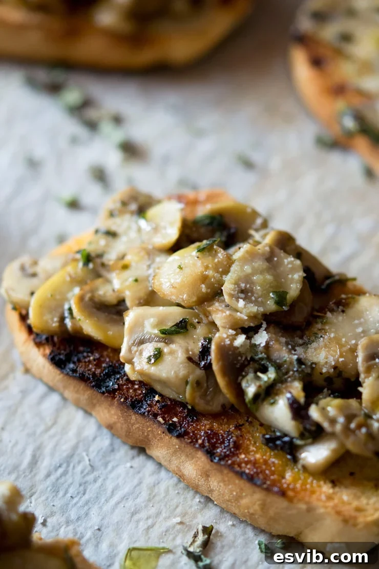 A close up of mushroom toasts with oregano and parmesan
