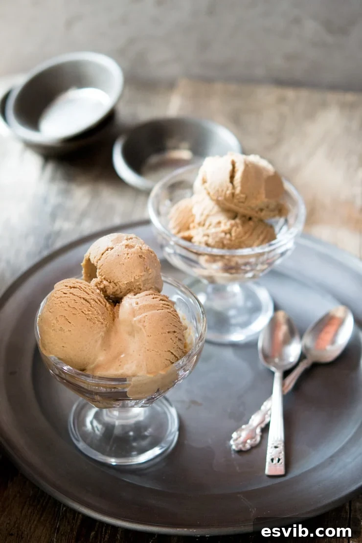 Rich and creamy chocolate hazelnut ice cream, perfect for any season. Discover homemade dessert recipes at Inside The Rustic Kitchen.