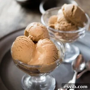 Chocolate hazelnut ice cream, a simple and fun recipe that will put you in nutty, chocolatey ice cream heaven. More authentic Italian recipes and traditional Italian recipes at Inside The Rustic Kitchen.