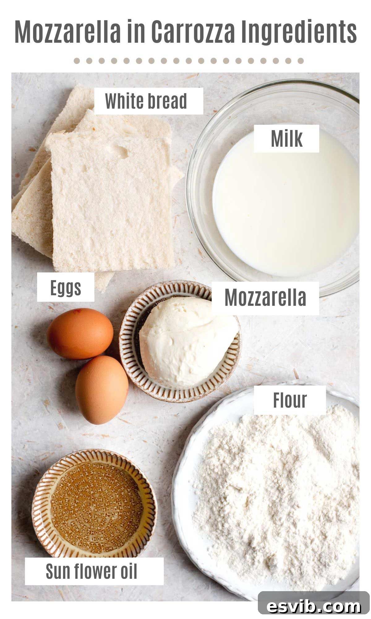 An overhead shot displaying all the fresh ingredients required to make traditional mozzarella in carrozza.