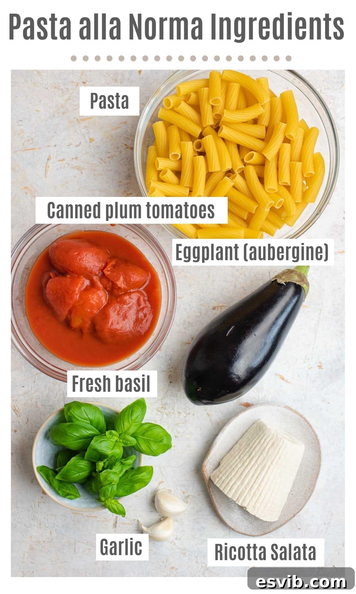 An overhead flat lay photo displaying all the fresh and high-quality ingredients needed to prepare a delicious Pasta alla Norma, including eggplants, canned tomatoes, fresh basil, garlic, and pasta.