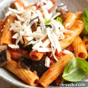 A close up of pasta alla norma in a bowl