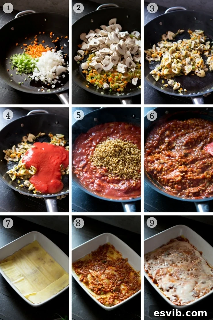 Lentil Ragu preparation steps. Step by step photos on how to make lentil ragu lasagne