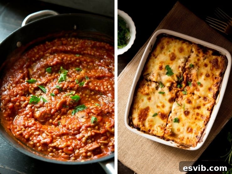 Finished Lentil Ragu Lasagne, ready to serve. A close up of lentil ragu in a pan and made into a lasagna