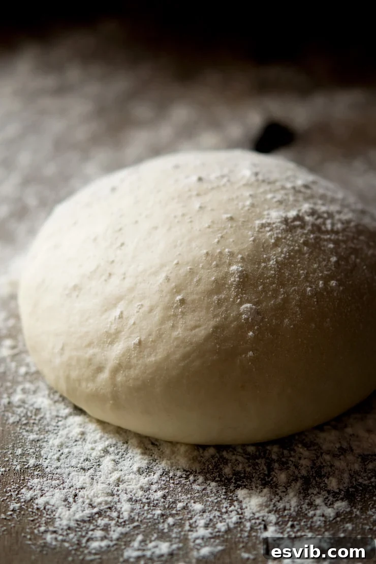 A close up of the best basic pizza dough recipe in a ball on a floured work surface