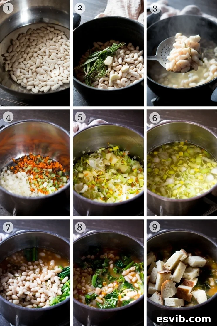 Ribollita Bean Preparation and Soffritto Base A detailed step-by-step photographic guide showing the preparation of cannellini beans with herbs, followed by the careful sautéing of the aromatic soffritto base for an authentic Ribollita.