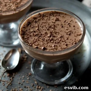 Delicious Chocolate Panna Cotta dessert.