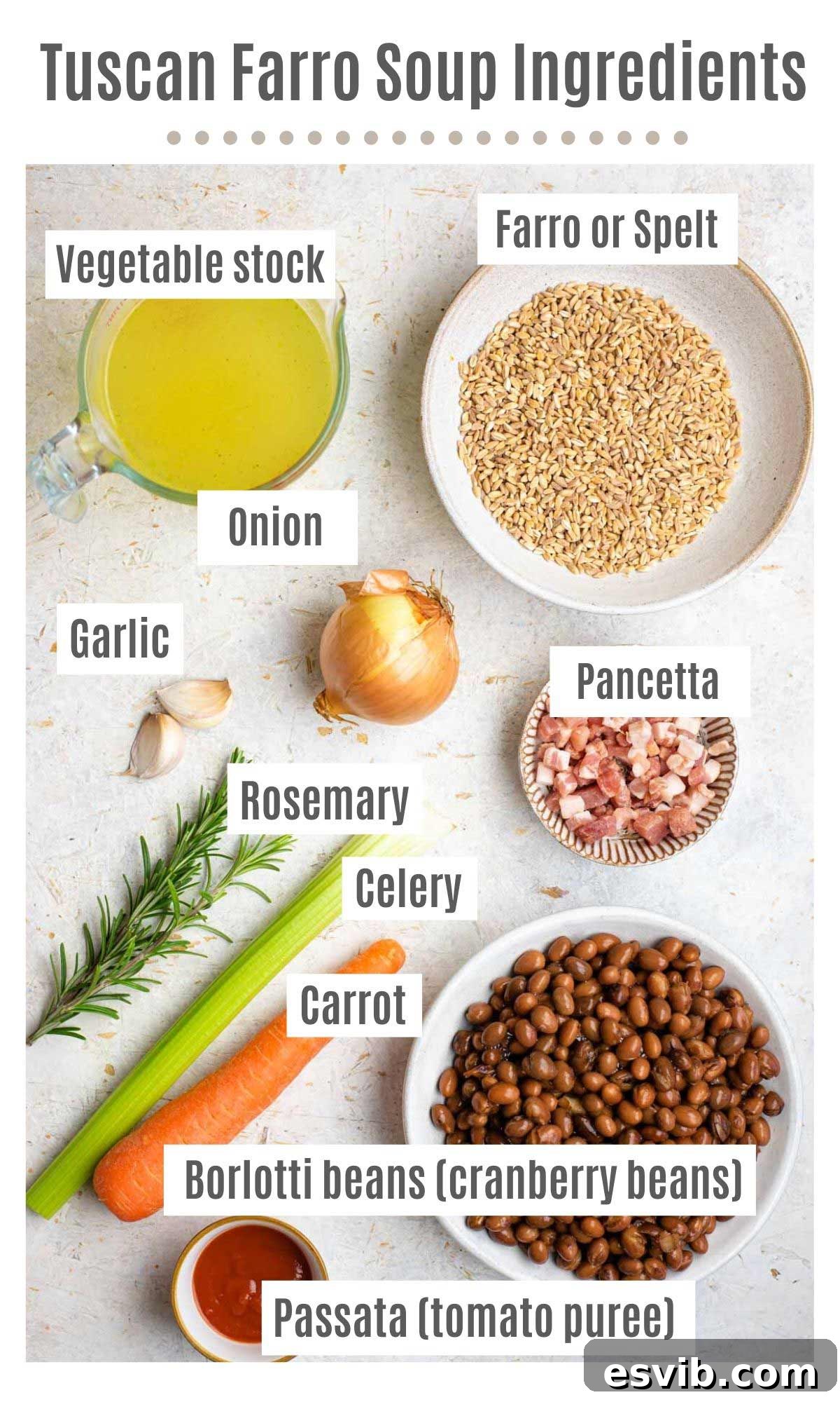 An overhead shot neatly displaying all the essential fresh ingredients required to prepare a traditional Tuscan Farro Soup, arranged on a rustic kitchen counter.