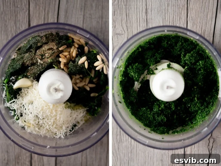 Pesto pasta sauce step-by-step Step-by-step photos illustrating the process of making cavolo nero pesto: blanched kale, ingredients in food processor, and blended pesto.